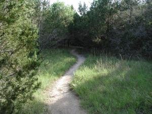 Trail View