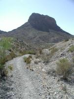 The trails starts off downhill towards the mouth of the canyon.  Castolon Mountain looms in the distance.