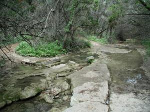 Creek Crossing