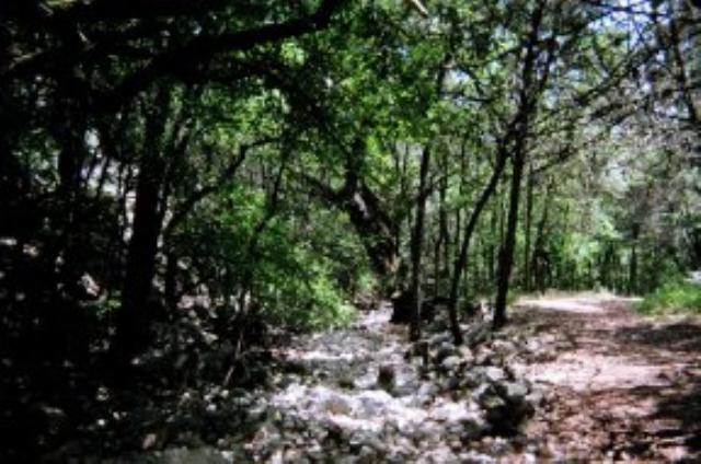 Panther Canyon Trail