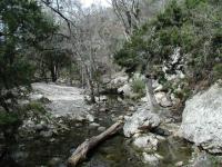 Creek Valley