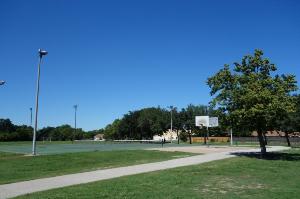 Another View Of The Park