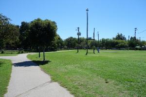 View Of The Trail