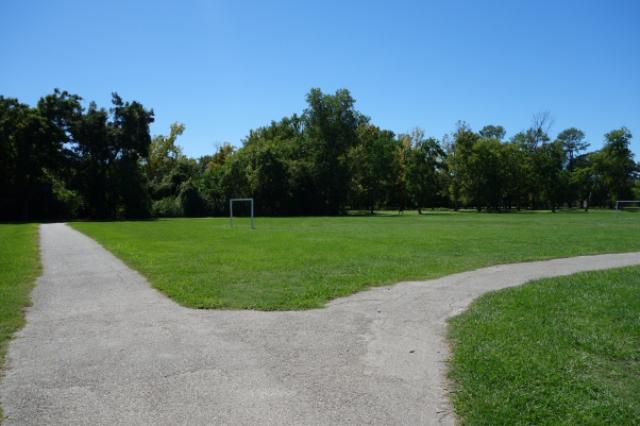 View Of The Trail