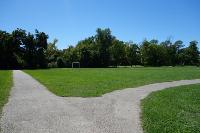 View Of The Trail