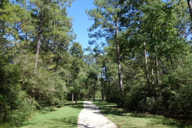 View Of The Trail