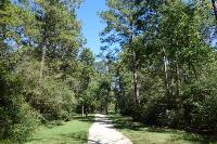 View Of The Trail