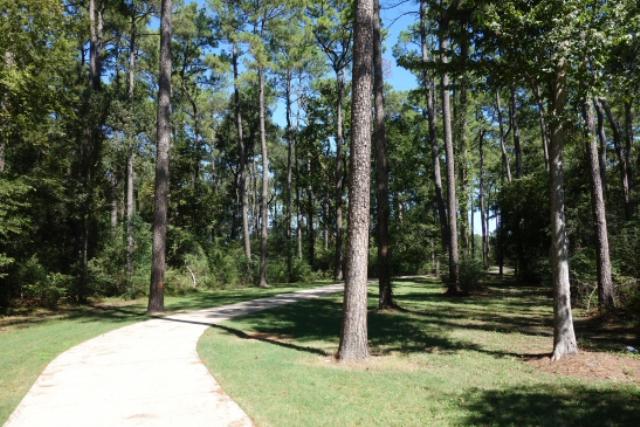 Another View Of The Trail