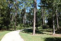 Another View Of The Trail