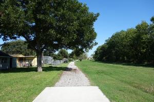 Another View Of The Trail