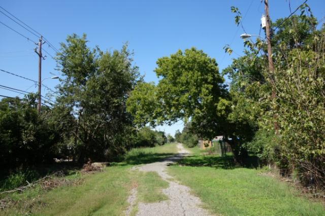 View Of The Trail