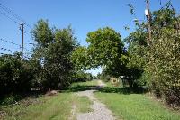 View Of The Trail