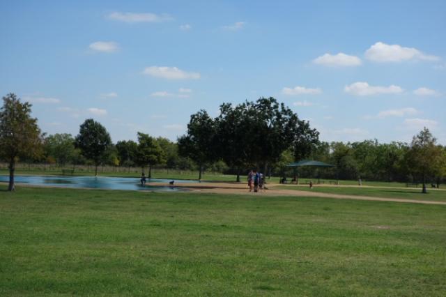 View Of The Park