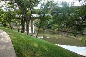 View Of The Trail