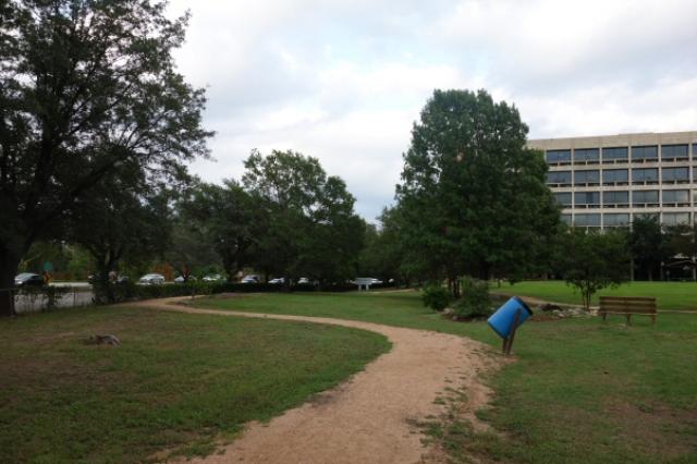 A View Of The Trail