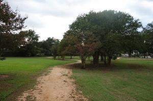 Another View Of The Trail