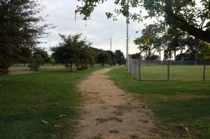 View Of The Trail