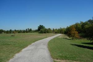 View Of The Trail