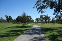 View Of The Trail