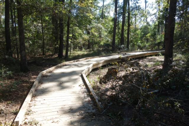 View Of The Trail