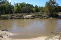 Spring Creek