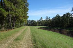 View Of The Trail