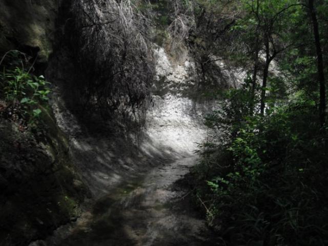 along the creek