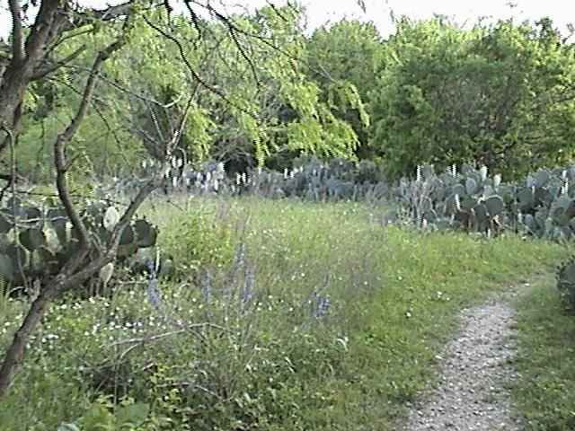 Comanche Bluff Trail