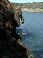 Crockett Garden's spring-fed waterfall didn't always fall into a lake.