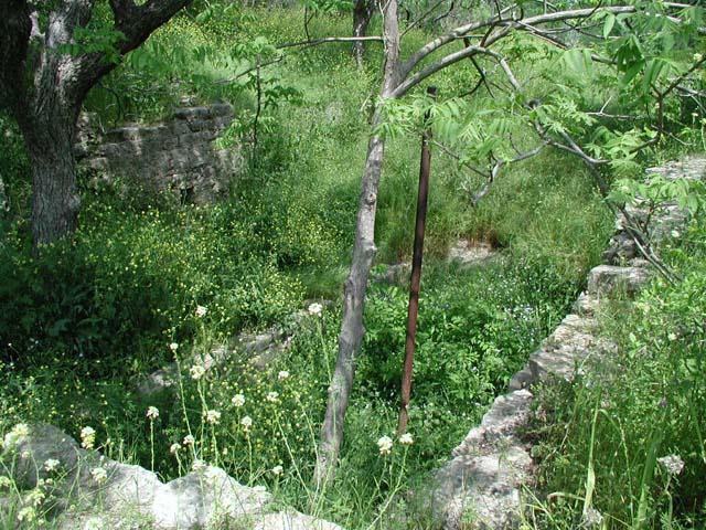 Grist Mill Ruins