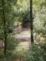 Lantana Creek