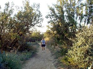 Nature Trail