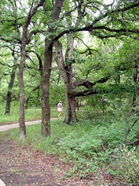 Arcadia Trail - Fort Worth