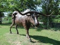 This statue of a Longhorn is one of a couple near the south shore of the river. Many like it were driven to railroad terminals in the north over this crossing.