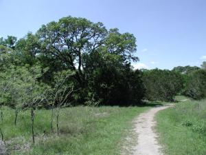 Trail View
