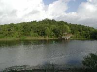 Several small lakes lie within the park and the nature trail hits each. This one includes a covered fishing pier.