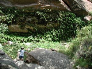 Austin Explorer at the grotto
