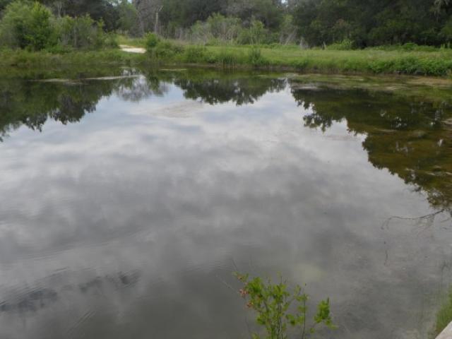 second pond