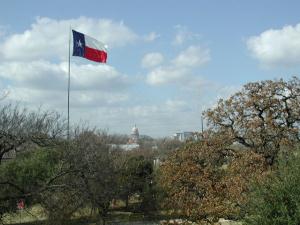 Texas icons