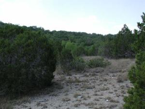 Trail View