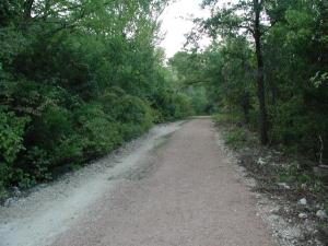 Trail View