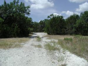 Trail View