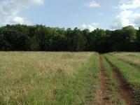 The beginning of the trail is dominated by pocket prairies covered in grasses and wildflowers.