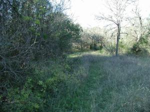 Trail View