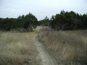 Trail View