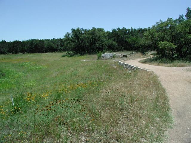 Trail View