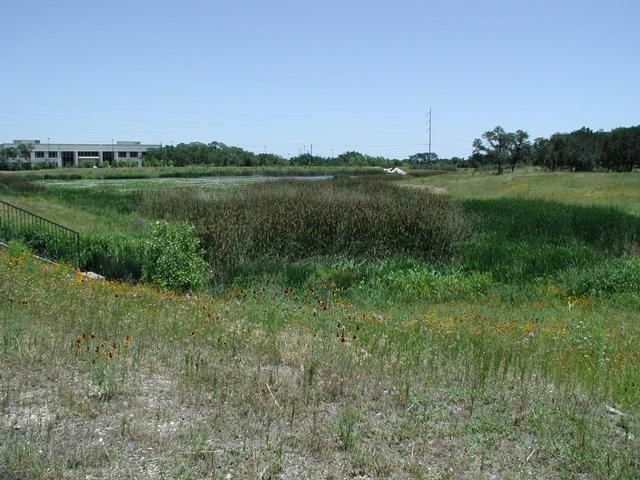 Another trail view