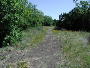 Trail View