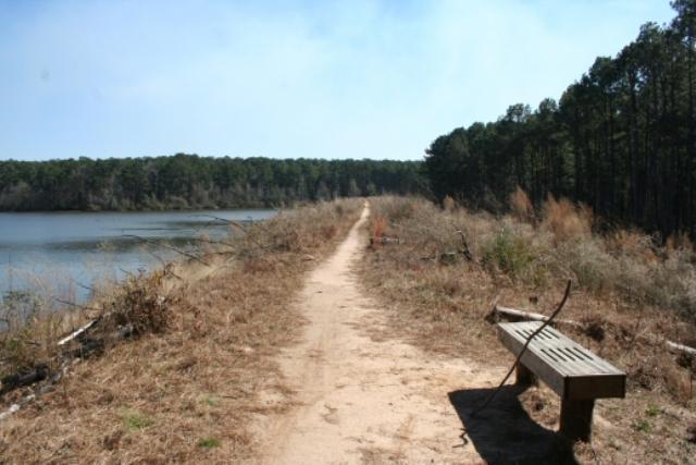 Another View Of The Trail