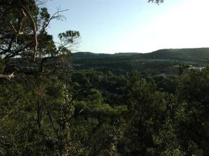 View from the cache